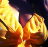 StacyRH